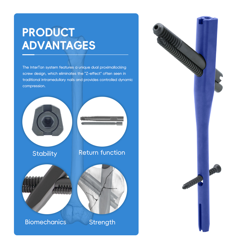 Intertan Intramedullary Nail Box