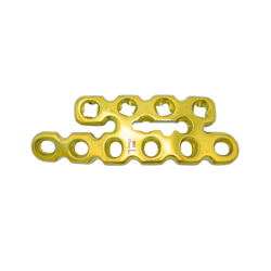 Posterior Pelvic Plate