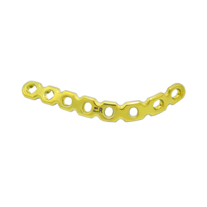 Anatomical Acetabular Plate