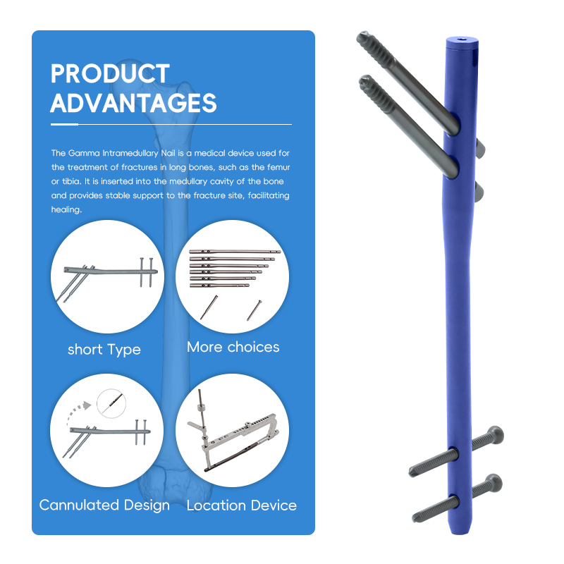 Gamma Intramedullary Nail Box