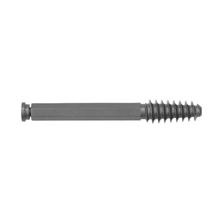 Lag Screw Hex Type