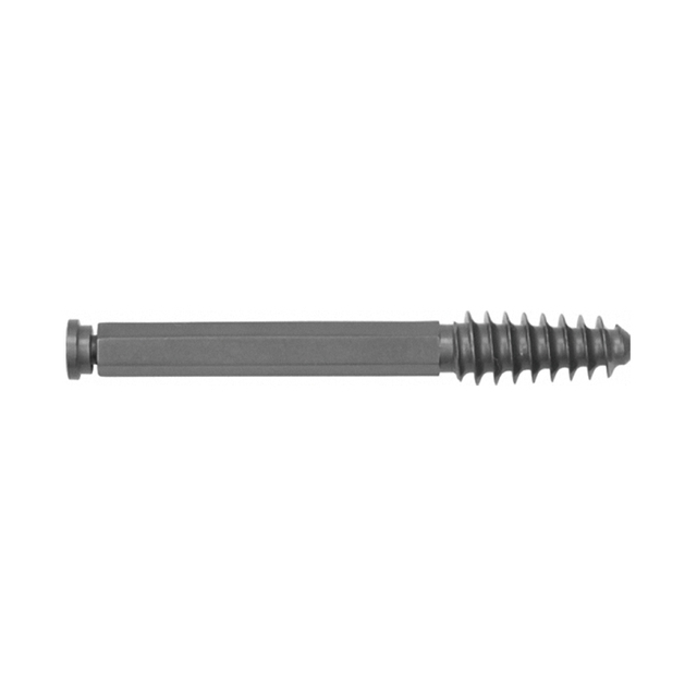 Lag Screw Hex Type