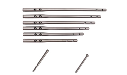 Gamma Intramedullary Nail Box